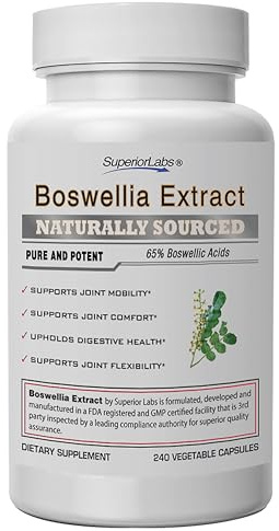 Superior Labs Boswellia Serrata Extract 500mg – 65% Boswellic Acids, Pure Non-GMO, Zero Fillers, Indian Frankincense, Supports Healthy Inflammatory Response & Joint Comfort – 240 Veg Caps