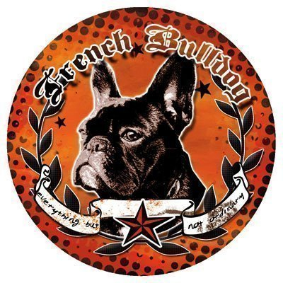 Französische Bulldogge Hunde Aufkleber - French Bulldog Sticker Decal Lilly - DUB