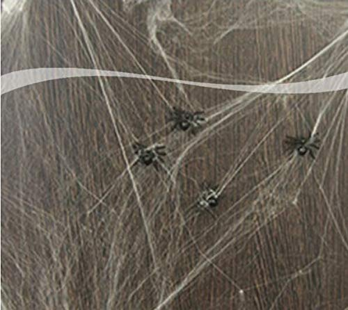 Folat Spinnennetz mit 6 Spinnen - 100 g