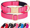 Didog Hundehalsband aus Nylon, weich gepolstert, strapazierfähiges Hundehalsband mit Schnellverschluss-Metallschnalle, leichtes und atmungsaktives Hunde Halsband für kleine Hunde,Rosa,S