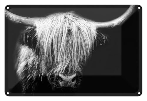 Wallario Blechschild Wandbild aus Metall Highlander in schwarz-weiß - 20 x 30 cm in Premium-Qualität: Brillante Farben