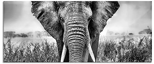 Pixxprint Glasbild Panorama, Wandbild aus Echtglas, Imposanter Elefant, 100x40 cm, inkl. Aufhängung und Abstandshalter