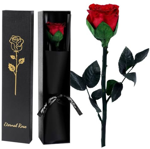 FRFG Rose Eternelle Infinie avec Tige, Cadeau Anniversaire Femme, Rose Stabilisée Rouge, Amour Cadeau, Fete des Meres, Noël, Saint-Valentin (Rouge cinabre)