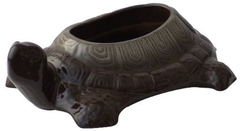 K&K Tortue en céramique résistante au gel Marron Taille moyenne 33 x 11 cm