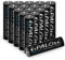CITYORK Lot de 16 Piles Rechargeables AAA 300mAh, Piles Rechargeables 1,2 V Ni-MH pour Lampes Solaires Extérieures, Lampes pour allées, Guirlandes Lumineuses (l'apparence Peut Varier)