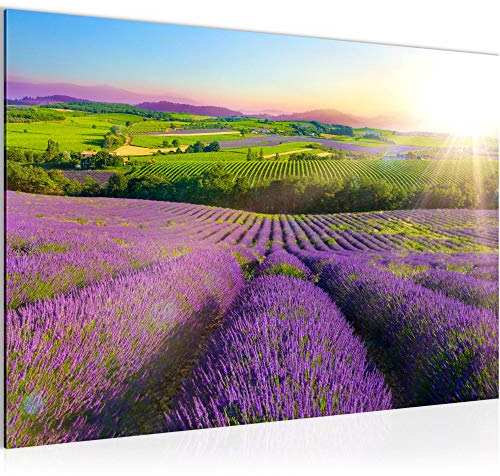 Runa Art Bild Provance Landschaft Modern Wandbilder Schlafzimmer Wohnzimmer 1 Teilig - Made In Germany - Lavendel Natur Lila Flur 610715b