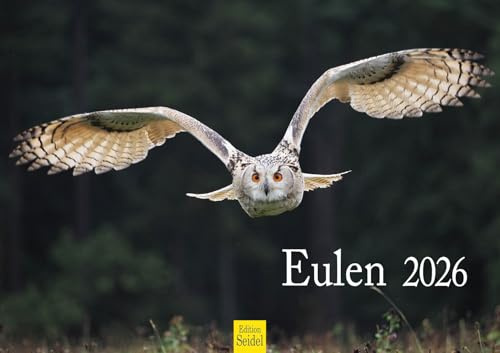 Edition Seidel Premium Kalender Eulen 2026 Format DIN A3 Wandkalender Eulenkalender Vogelkalender Eule Uhu Vogel Wildvogel