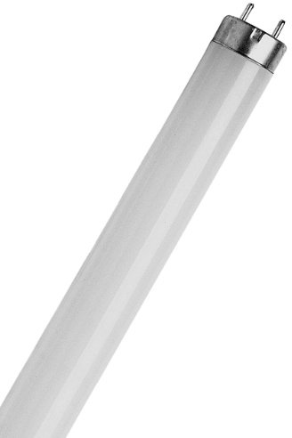Osram Lumi Fluorescent Lamp, White, G13, 36 W