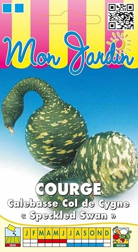 Sachet de graines de Courge calebasse Col de Cygne - 3 g - légume décoratif - LES GRAINES BOCQUET