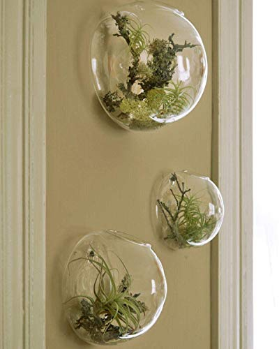 NewDreamWorld's Set mit 3 verschiedenen Größen von Aquarien, Terrarien für den Innenbereich, Glasvase, Mauer-Terrarien, Sukkulenten-Übertopf, Wand-Luftpflanzenhalter