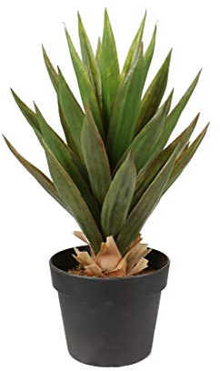 Künstliche Aloe Vera Pflanze mit 31 Blätter ca. 50cm im Topf - Sukkulenten Kunstpflanze Topfpflanze