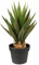 Künstliche Aloe Vera Pflanze mit 31 Blätter ca. 50cm im Topf - Sukkulenten Kunstpflanze Topfpflanze