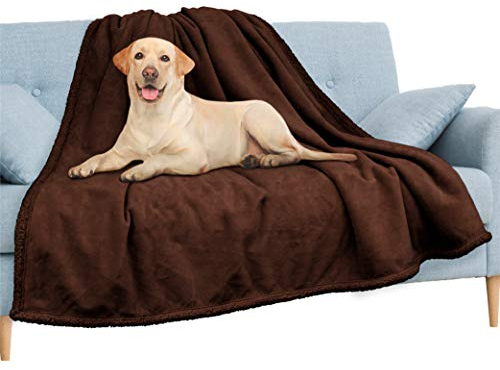 PAVILIA wasserdichte Decke für Couch, Sofa | wasserdichte Hundedecke für große Hunde, Welpen, Katze | Haustierdecke Schutz | Plüsch Weich Warm Fuzzy Sherpa Decke Bett Überwurf, Braun, 60x80