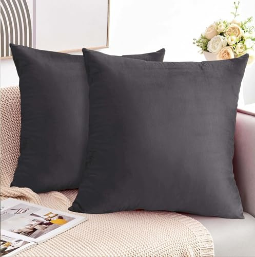 Moonlight Bedding Cushion Covers 45 x 45 cm Soft Velvet Square Throw Pillowcases Invisible Zipper 18x18 Inches Pack of 2 Charcoal Cushion Cover for Sofa Couch Chair Bedroom Car