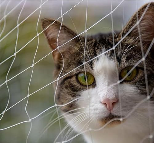 Katzennetz für Balkon 3x8M- Katzennetz DrahtverstäRkt Transparent - Robust Verdicktes Katzenschutznetz Balkon,Balkonnetz Haustiernetz für Katzen zur Sicherung von Terrassen Fenstern Zäune Türen (Weiß