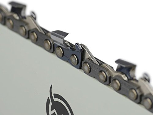 Catena Sägenspezi da 38 cm (semitrasparente) .325 64 TG 1,3 mm adatta per Echo CS 4510