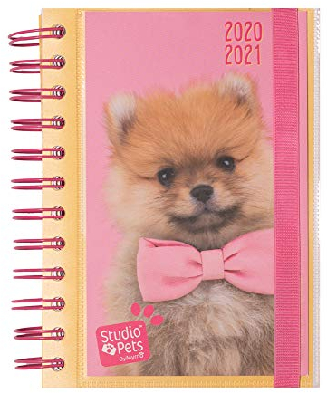 Erik Planer - Schulplaner Studio Pets Dogs - Kalender Tagesansicht 2020/2021 für Schüler - Terminplaner