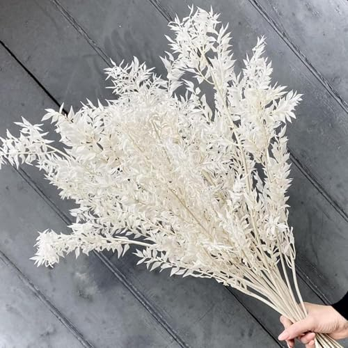 Trockenblumen,Getrockneter Eukalyptus 10 Stiele weißer Eukalyptuszweig - 35 cm Trockenblumen Deko, konservierte Blumen für Boho-Hochzeit & Heimdekoration