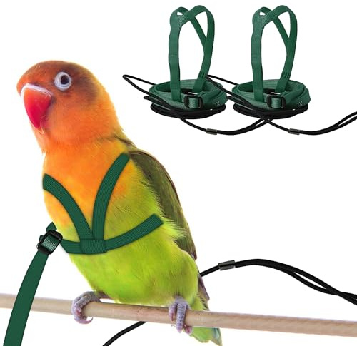 CQJ 2er Set Papageien Geschirr mit Leine – Verstellbares Training Geschirr Anti-Biss Design, Outdoor Flugtraining Leine für Vögel, Passend für Brustumfang 24-51 cm (M grün)