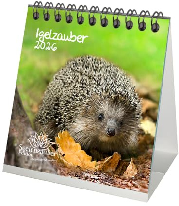 Igelzauber Tischkalender 10cm x 10cm für 2026 Igel - Geschenkset Inhalt: 1x Kalender 1x Weihnachtsanhänger 1x Grußanhänger (gesamt 3 Teile)