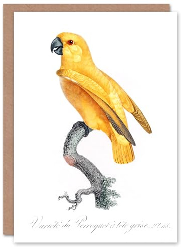 Artery8 Francois Levaillant Art Card Lutino Senegal Parrot
