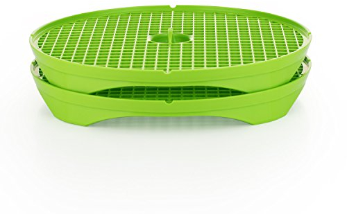 Börner Crispymaker (2er Set/Grün) • Chips Macher für die Mikrowelle • Chip Maker für kalorienarme Chips ohne Fett • Frische Chips selber machen • Kartoffelchips & Gemüsechips Maker