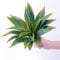 Veryhome Plantes succulentes artificielles d'aloe Vera,31.8 cm,Artisanat de qualité supérieure,Décoration de Verdure pour intérieur et extérieur (Vert)