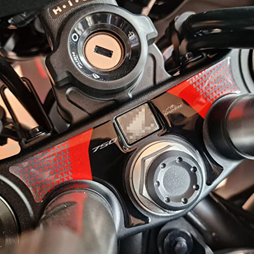 Resin Bike Adesivi Moto Compatibile con Honda Transalp XL 750 2023-2025 Protezione Moto Piastra di Sterzo da Urti e Graffi. Adesivi 3D Resinati Neutro Metallizzato