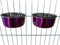 Ellie-Bo Paire de Chien Bols pour caisses/Cages ou stylos, Petit, 0.6 Litre, Rose