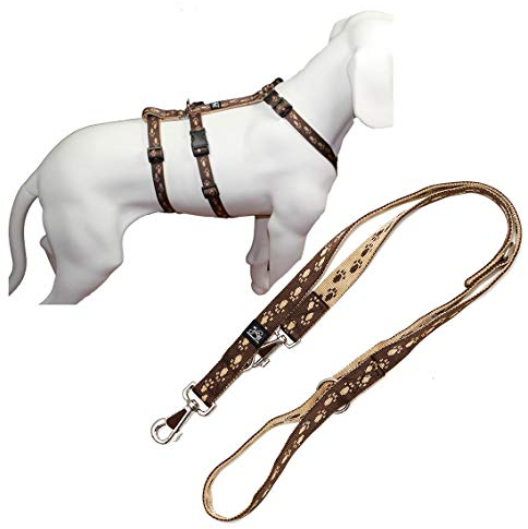 A. Hoffmann GmbH NoExit Hundegeschirr® - ausbruchssicher, Panikgeschirr, braun mit beigen Pfötchen, Bauchumfang 75-100 cm, 25 mm Bandbreite, inkl. mit passender Führleine