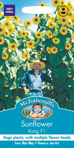 Mr Fothergill's 25764 Flower Seeds, Sunflower Kong F1