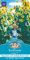 Mr Fothergill's 25764 Flower Seeds, Sunflower Kong F1