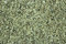 1000Kräuter Holunderblüten gerebelt Holunderblütentee Tee Sambucus (200g)