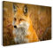 Printed Paintings Leinwand (100x70cm): Tier-Bilder Natur Wildnis Wald Landschaft Fuchs Sieht aus