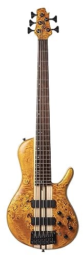 Cort A5 Plus SC AOP - Amber Open Pore