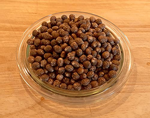 LanDixx Blaue Lupine Samen Gründüngung 0,5 kg