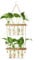 Hyindoor Vaso in Vetro per Propagazione di Piante a Doppio Strato, Fioriera Sospesa Piante Idroponiche Decorative Moderne Home Office
