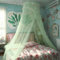 Eimilaly Spitze Betthimmel Moskitonetz, Prinzessin Betthimmel für Mädchen Zimmer Dekor, Green/Einzeltür