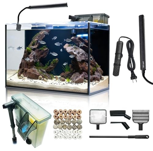 Set completo per acquario, 40 litri, 25 x 32 x 50 cm, con riscaldamento, pompa dell'acqua, sistema di filtraggio, illuminazione a LED e strumenti di pulizia, trasparente, per pesci Betta e piante