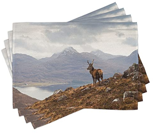 ABAKUHAUS Hirsch Platzmatten, Wild Stag Mit Aussicht Auf Loch Torridon Dramatische Western Ross Mountain Nature Aussicht, Waschbare Stoff Esszimmer Küche Tischdekorations Digitaldruck, Braun Weiß
