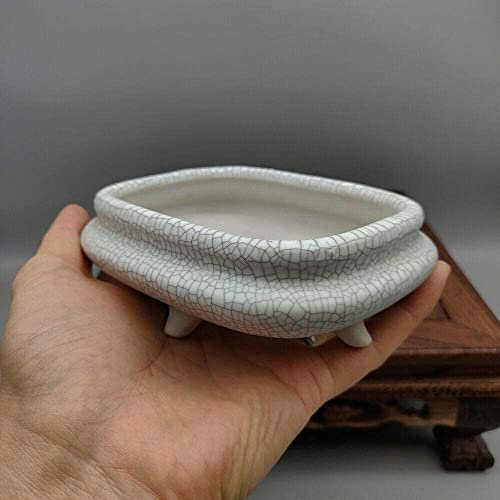 AAGAZA Ice Crack/Celadon Round-Coin Rectangular Glazed Mame Bonsai Pot 11.5x9x4.5CM