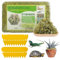 SKJJL Sphagnum Moos für Pflanzen, 500g Natürliches Sphagnum Moos mit 20 Gelbsticker Trauermücken, Moos Deko Erhöhung der Luftfeuchtigkeit, Sphagnum Moss für Orchideen und Bonsai, Reptilien