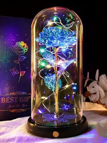 DEEMEI Eternal Rose Flowers Birthday Gifts for Women, for Mum Her, Upgraded USB Galaxy Crystal Rose in a Glass Dome LED Light-Up Presents for Anniversary Wife Grandma, Blue