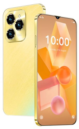Fine Life Pro Telefono 4GLTE, doppia SIM + scheda TF, schermo da 6,3 pollici, doppia fotocamera, 2GRAM + 16GROM, estensione TF da 128GB, telefono senza contratto, per utenti principianti (3, gold)