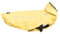 CHIARA SCOTTY Regenjacke mit Geschirr CHJ-Y1811YE-XL-CHIARA-Regenmantel, Regencape (Größe: XL, Material: 100 % Polyester, sportlich, wasserdicht, innen liegendes Geschirr), Gelb