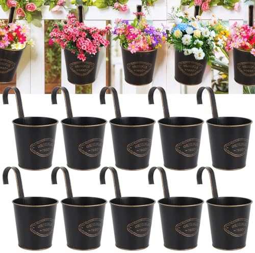 Fippy 10 macetas colgantes de metal, macetas para colgar de metal, 10 cm, macetas para colgar al aire libre para balcón, valla, decoración de jardín