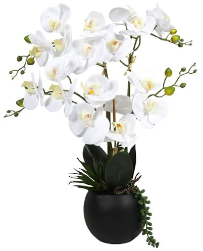 wilko Artificial Orchid in Black Pot with Succulent, White, 58cm, Ceramic, Polyethylene, Polyform, Steel, Easy to Maintain