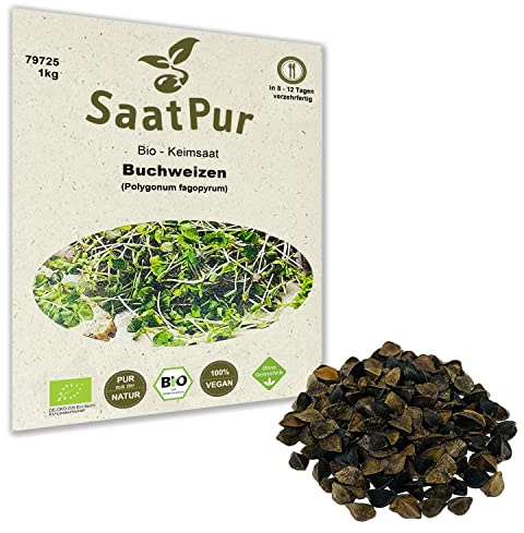 1Kg BIO Keimsprossen Buchweizen Samen Sporssensaat Mikrogrün Microgreens Sprossenanzucht