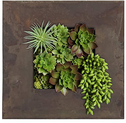 Modern Home Living Wall Galvanized Steel/Zinc Succulent Planter, Wall Mounted Garden Pocket Planter (4 Pocket, Rust Zinc)