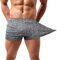 Lehmanlin Sport Shorts Herren Bodybuilding Kurze Shorts Workout Trainingsshorts Schnell Trocken 7,6CM Innennaht (Grau-M)